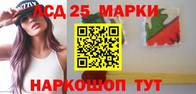 гидропоника Краснодар