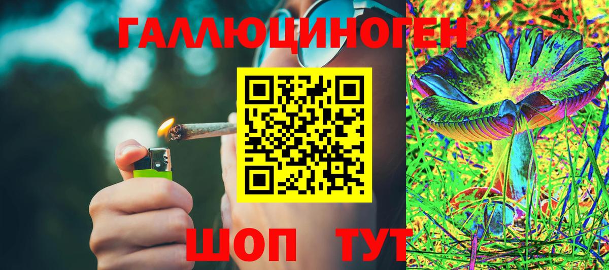 Псилоцибиновые грибы мицелий  Вход с VPN  Вязьма 